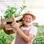 1 senior man standing in greenhouse holding a box wi zalutvb.jpg