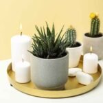 succulent plants and candles on white table housep usupwu6.jpg