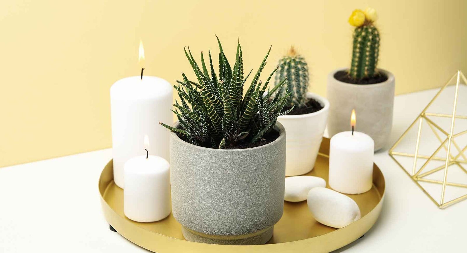 succulent plants and candles on white table housep usupwu6.jpg