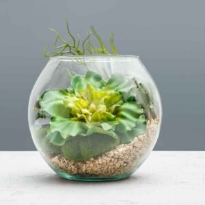 succulent plants in florarium 2021 04 02 20 25 25 utc 1.jpg