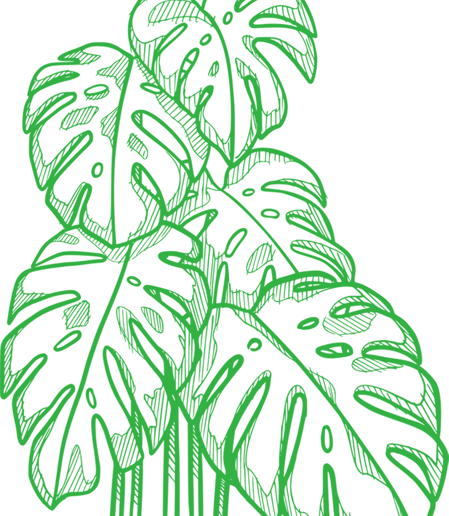 image01 8m6cdsj.png